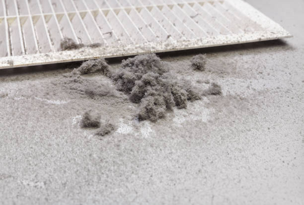 Best Ductwork Cleaning Services  in Lemont Furnace, PA